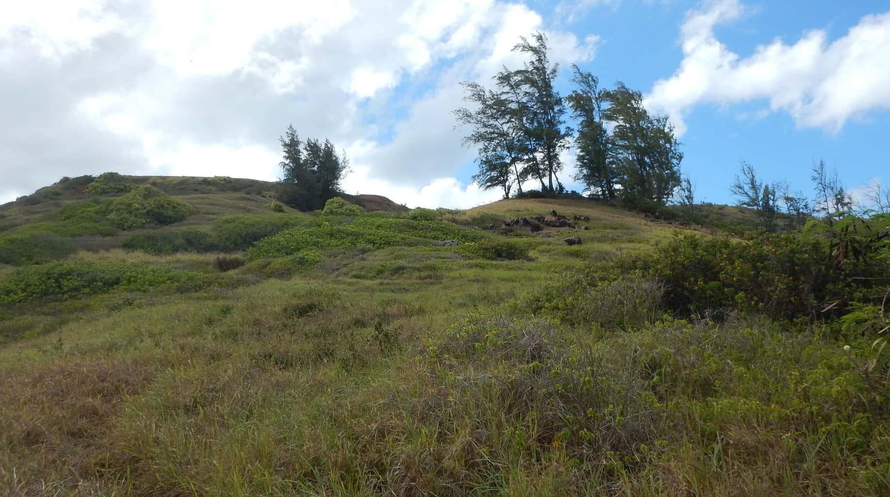 Moloaa Bay Ranch Coastal Trail