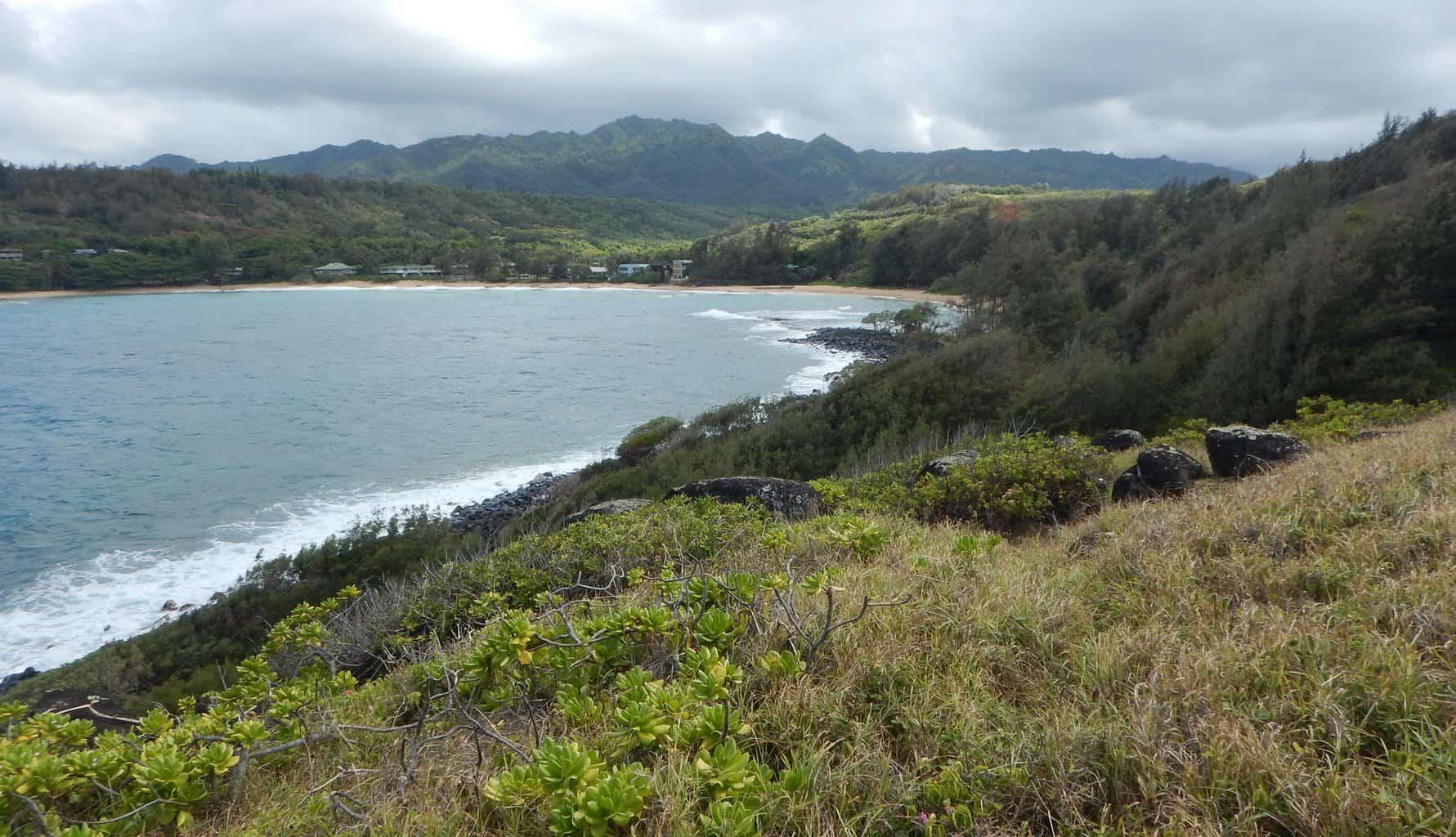 Moloaa Bay Ranch Coastal Trail