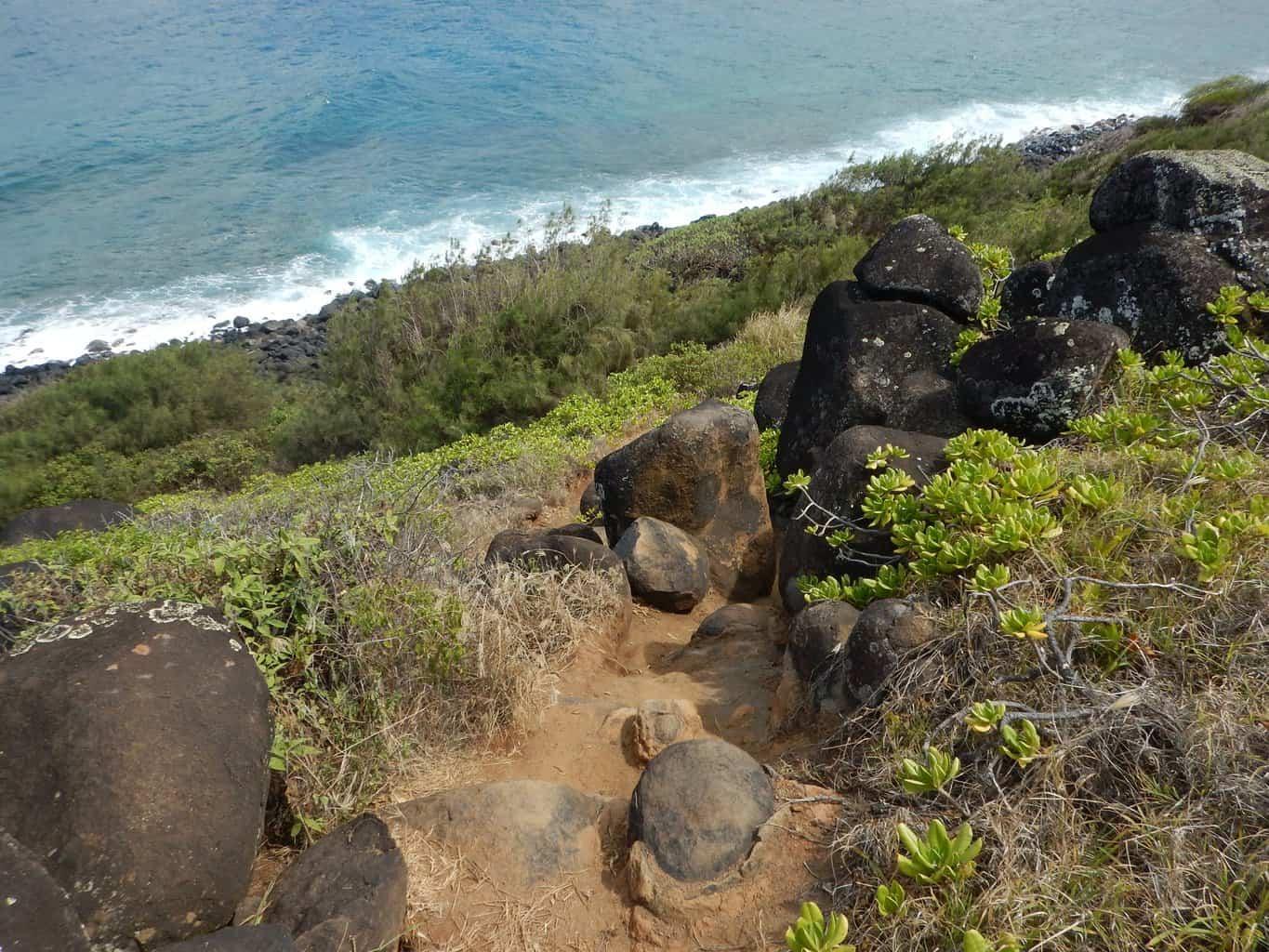 Moloaa Bay Ranch Coastal Trail