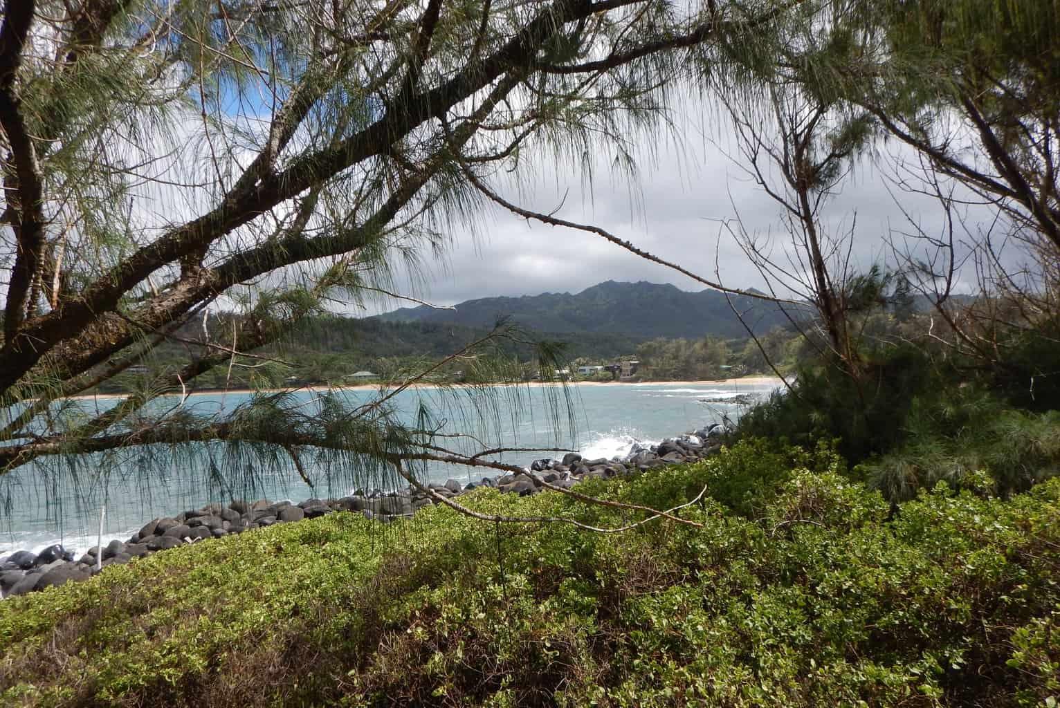 Moloaa Bay Ranch Coastal Trail