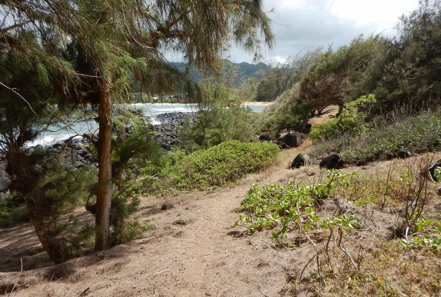 Moloaa Bay Ranch Coastal Trail