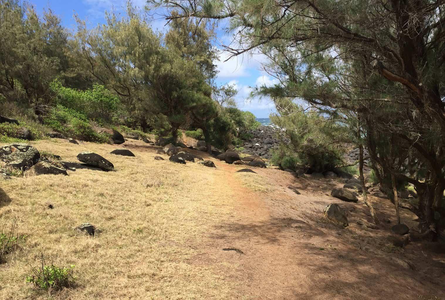 Moloaa Bay Ranch Coastal Trail