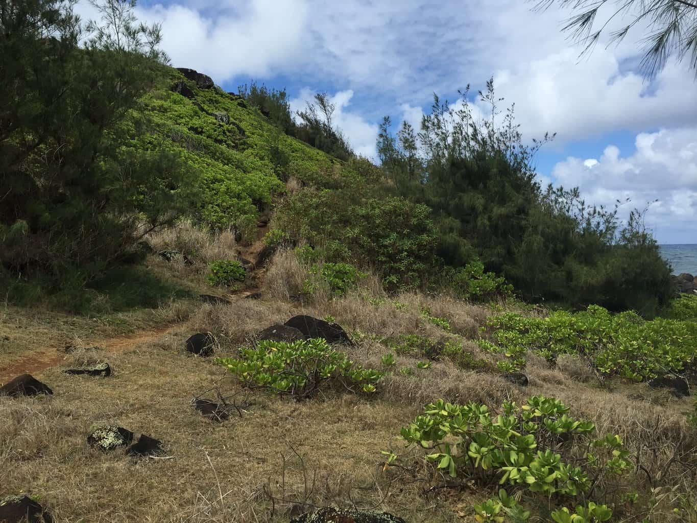 Moloaa Bay Ranch Coastal Trail