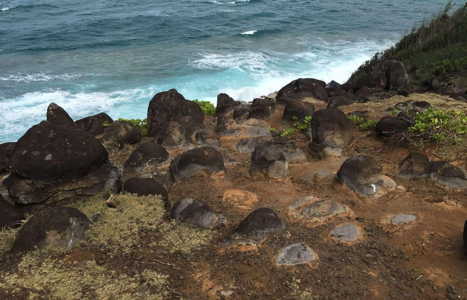 Moloaa Bay Ranch Coastal Trail