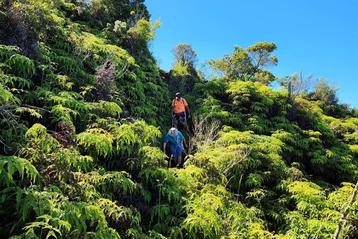 Hiking down the trail