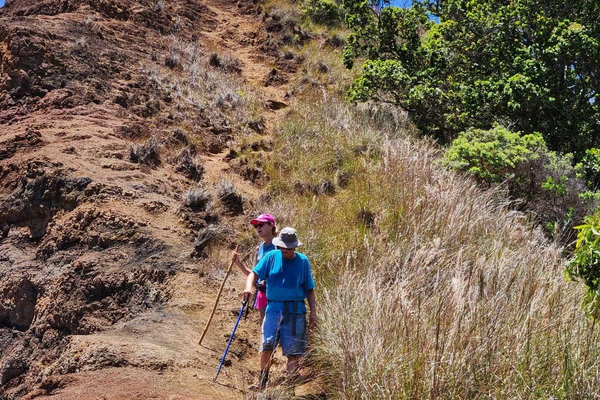 Hiking with sticks on Honopu Ridge Trail