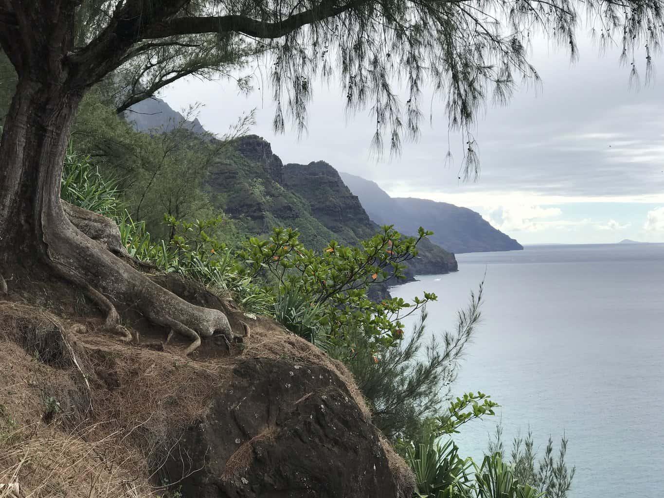 Na pali coast view