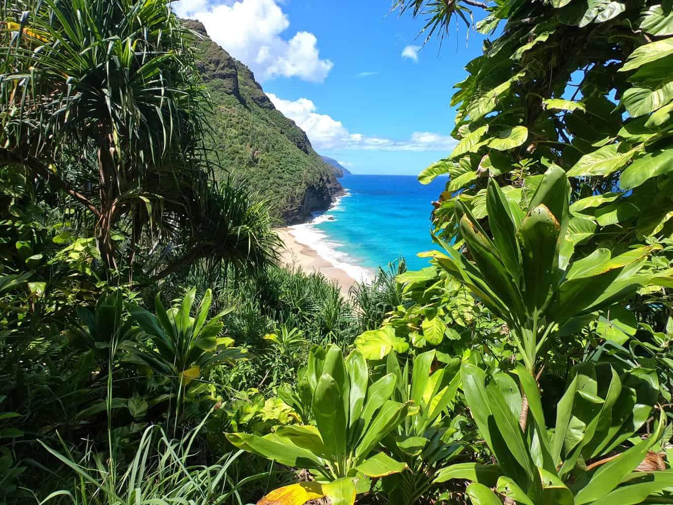  Hanakapiai Beach view from trail