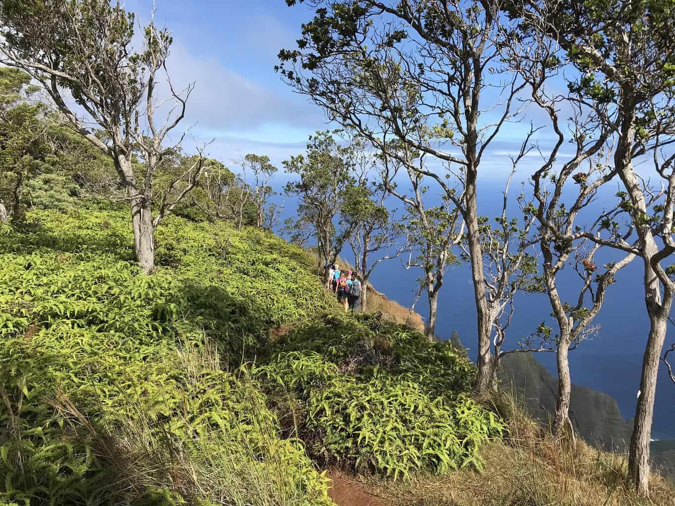 Kalepa Ridge Trail