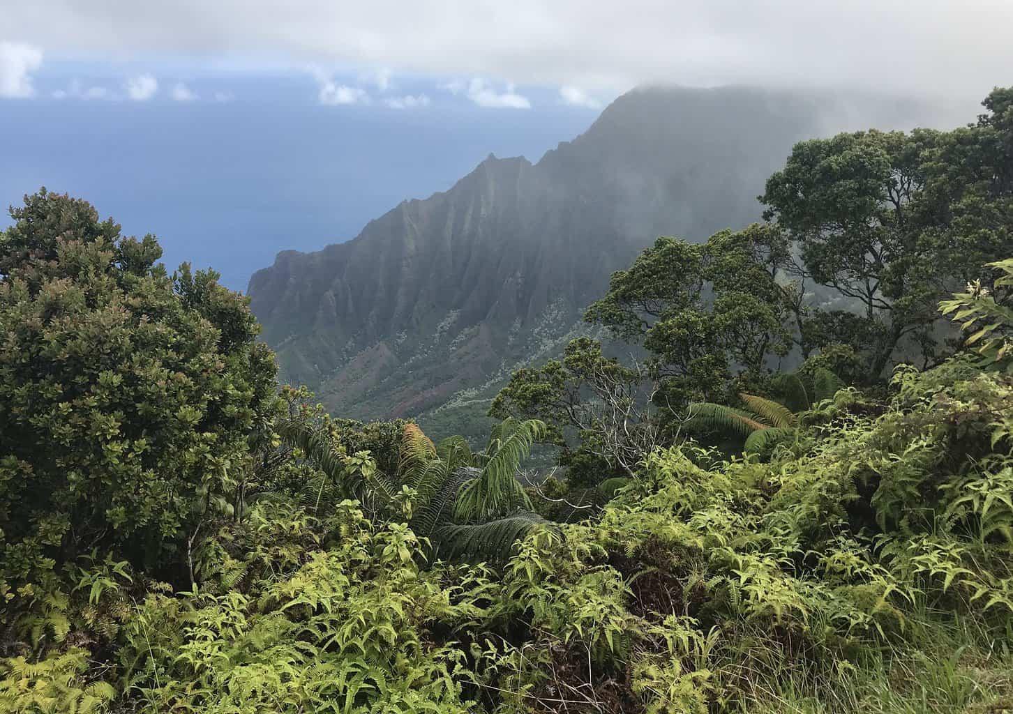 Kalepa Ridge Trail