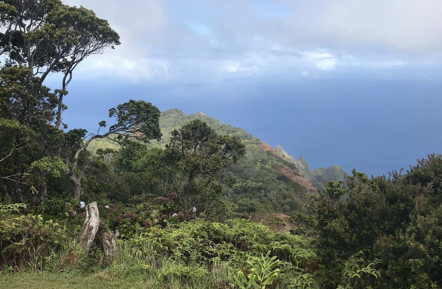 Kalepa Ridge Trail