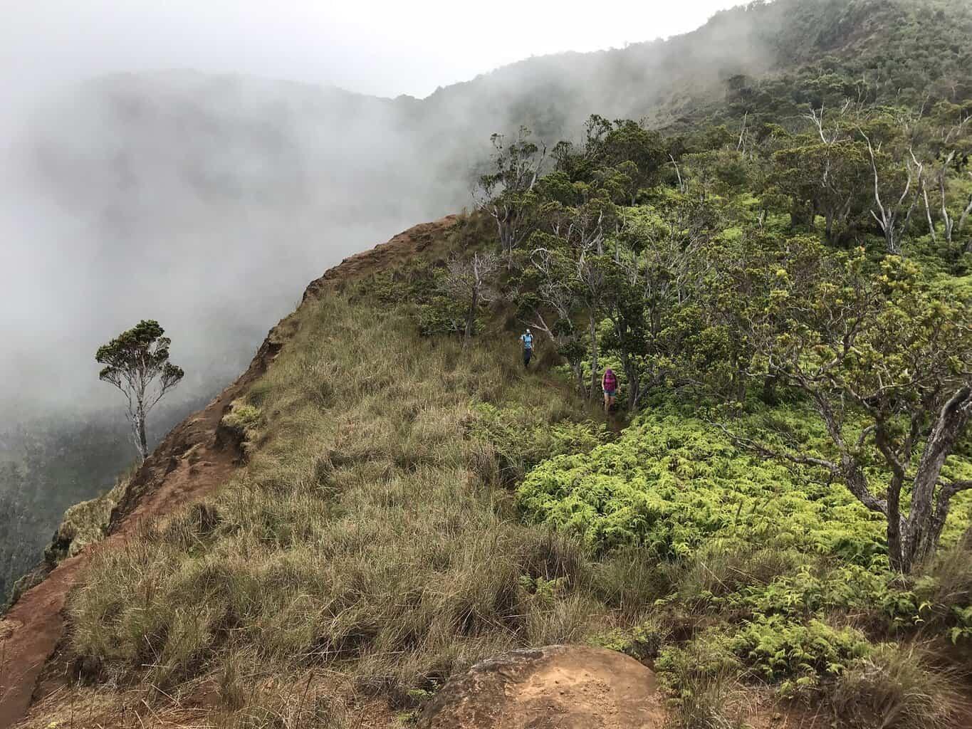 Kalepa Ridge Trail