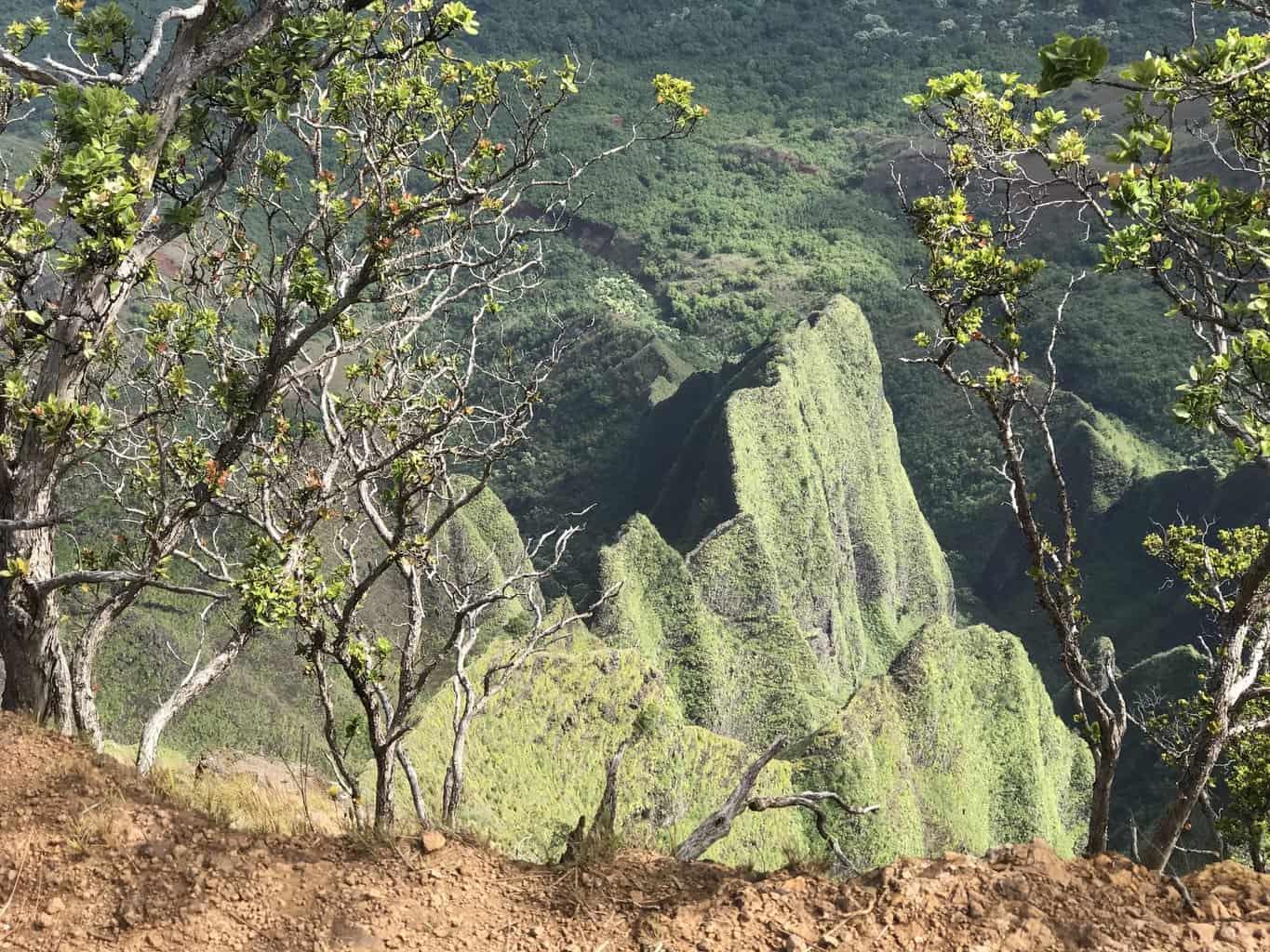 Kalepa Ridge Trail