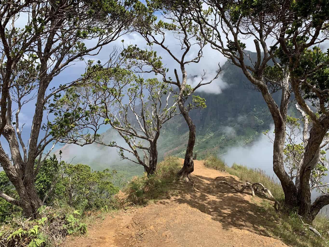 Kalepa Ridge Trail