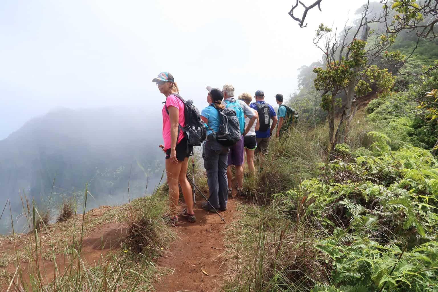 Kalepa Ridge Trail Hikers