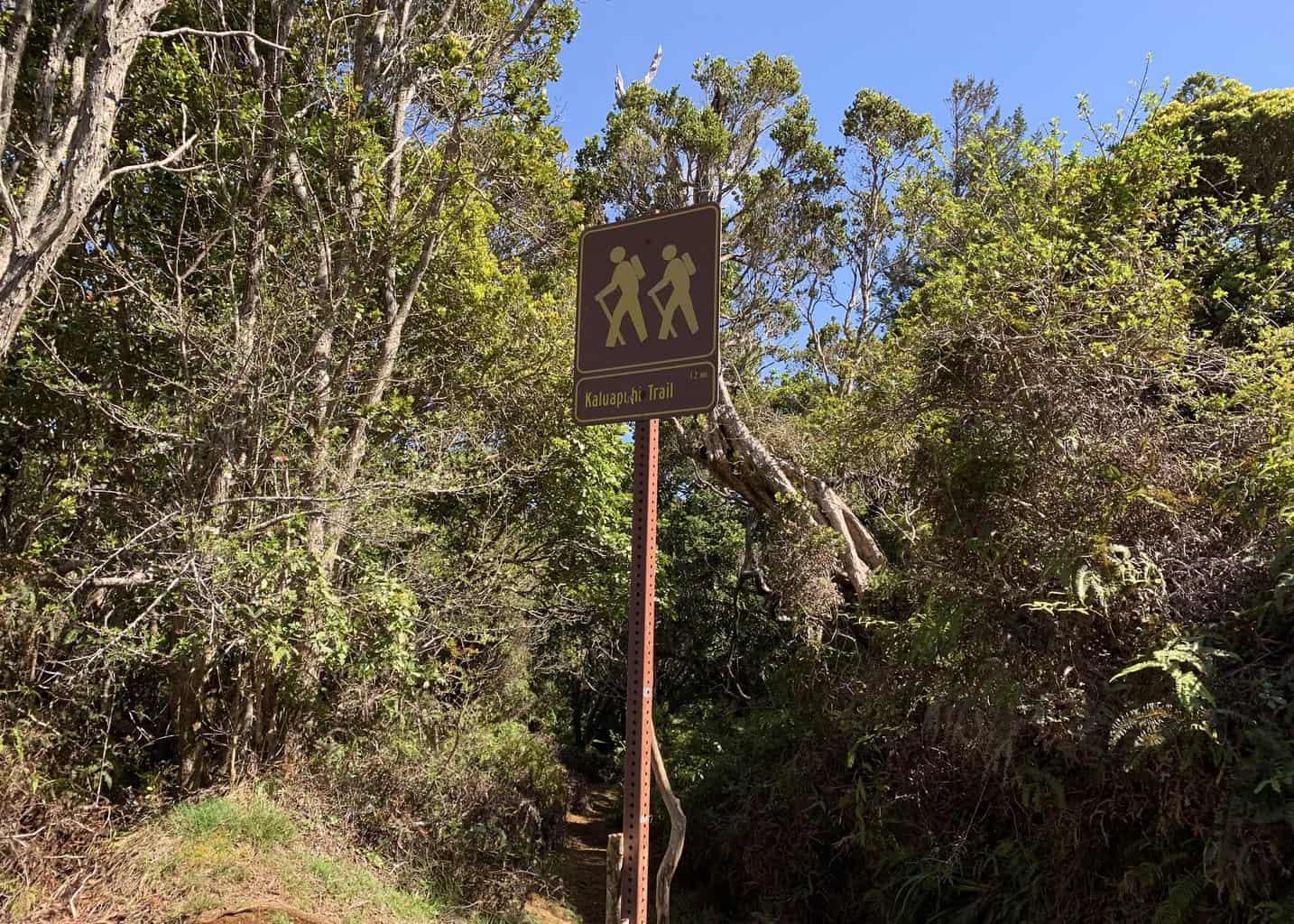 Kaluapuhi Trail