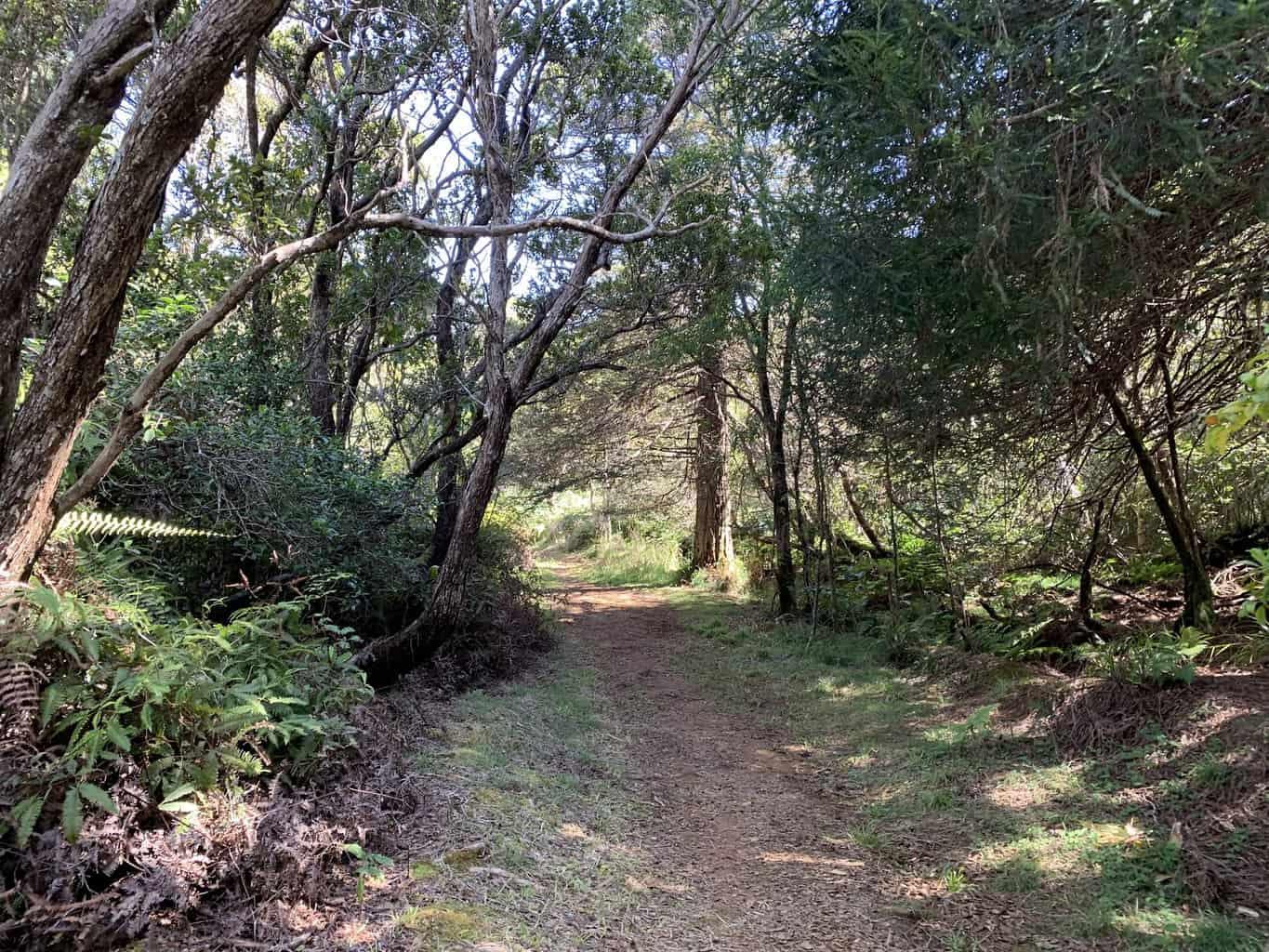 Kaluapuhi Trail