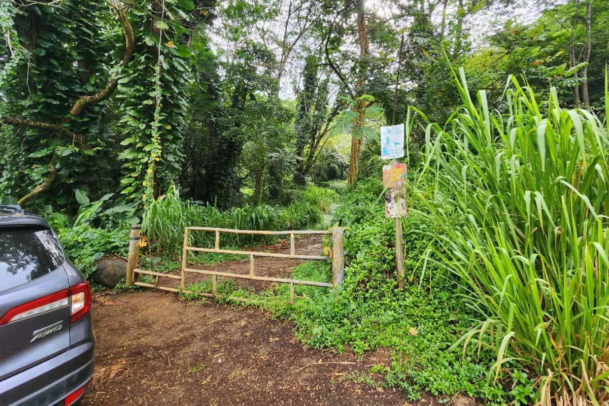 Kuilau Ridge Trail gate