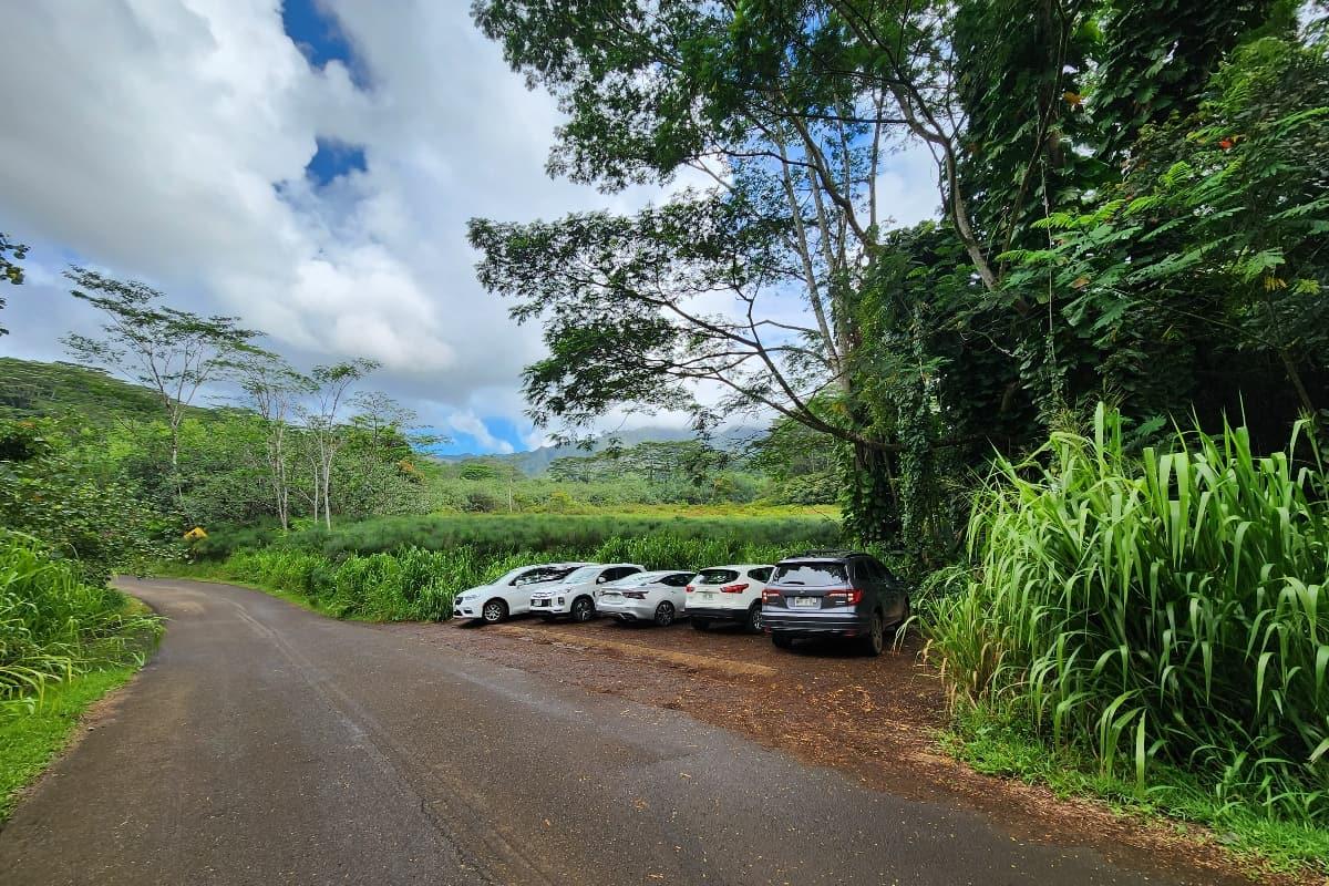 Kuilau Ridge Trail parking