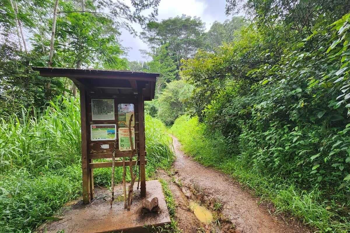 Kuilau Ridge Trail