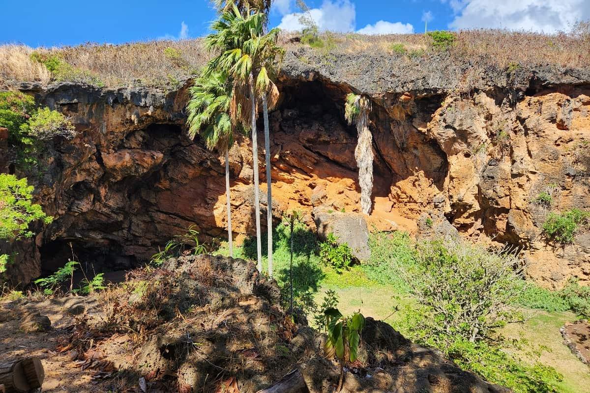 Makauwahi Cave Reserve