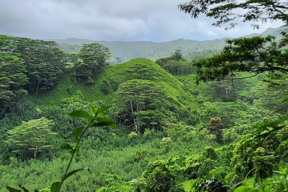 Mountain range in Kuilau Trail