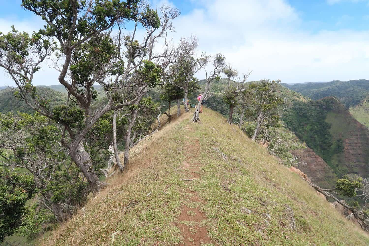 Poomau Canyon Ditch Trail