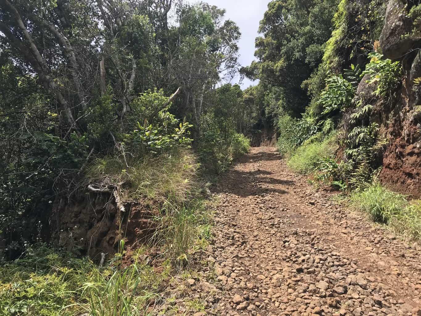 Poomau Canyon Ditch Trail