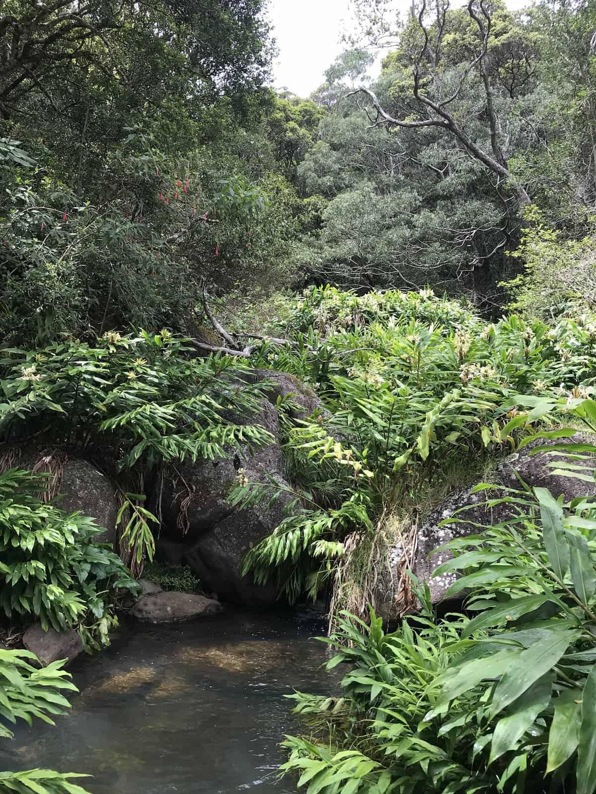 Poomau Canyon Ditch Trail