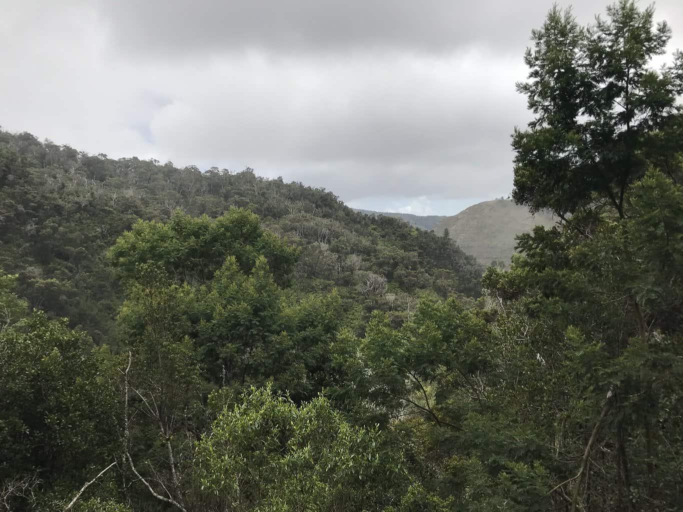 Poomau Canyon Ditch Trail