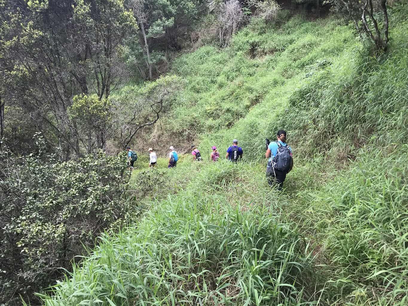 Poomau Canyon Ditch Trail