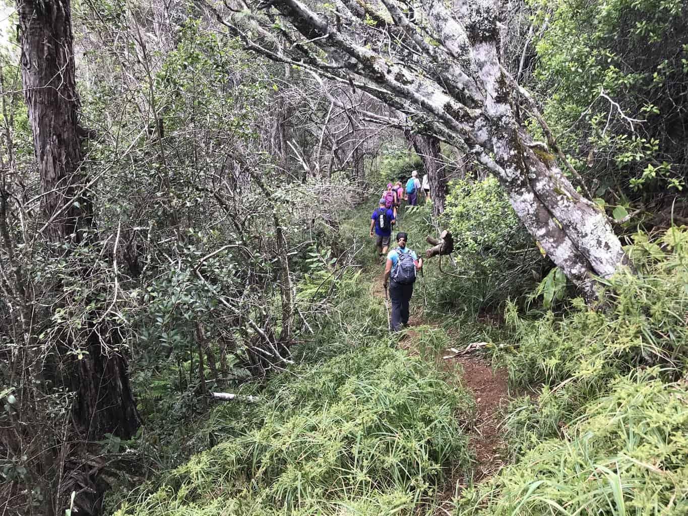 Poomau Canyon Ditch Trail