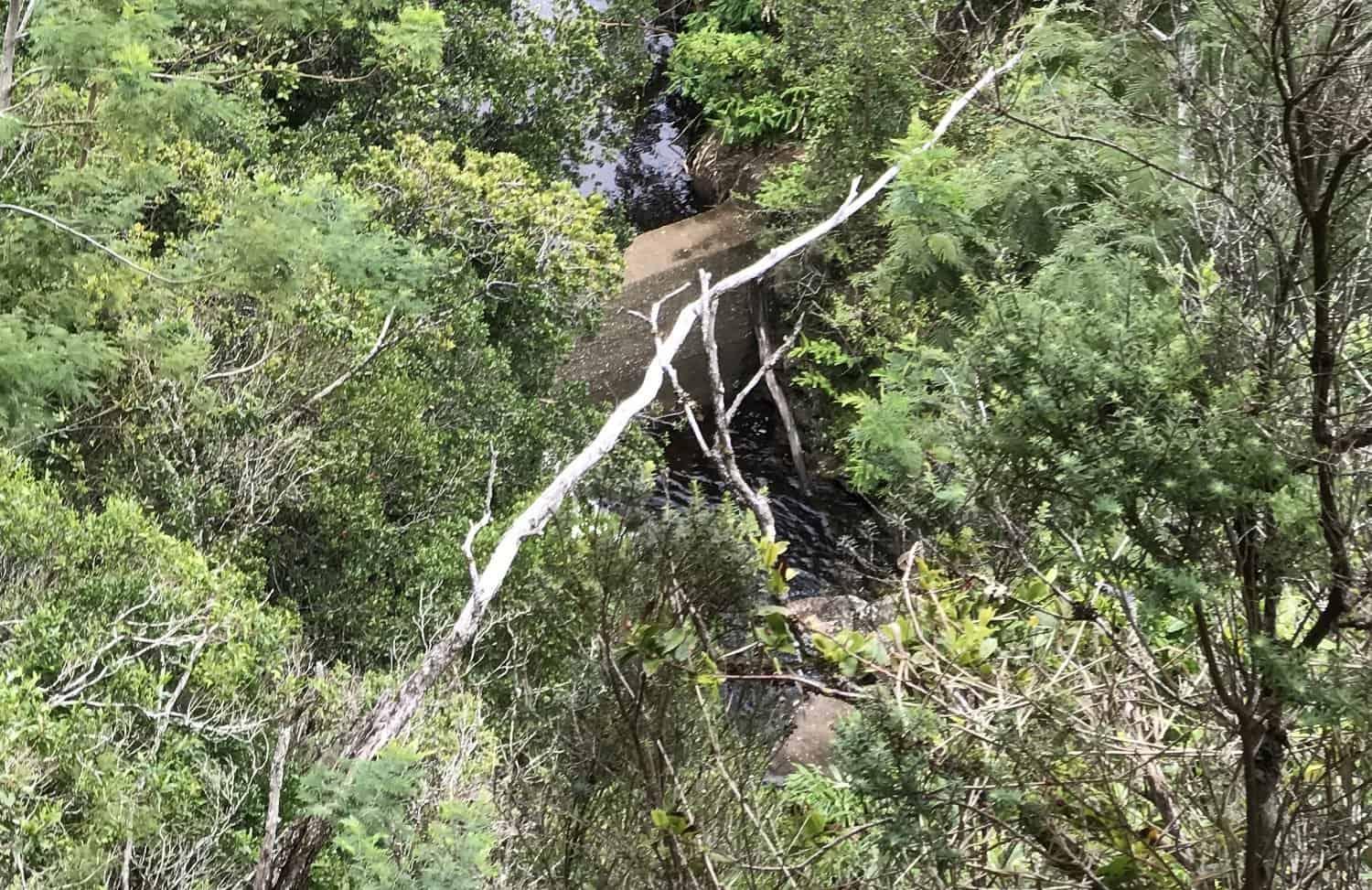 Poomau Canyon Ditch Trail