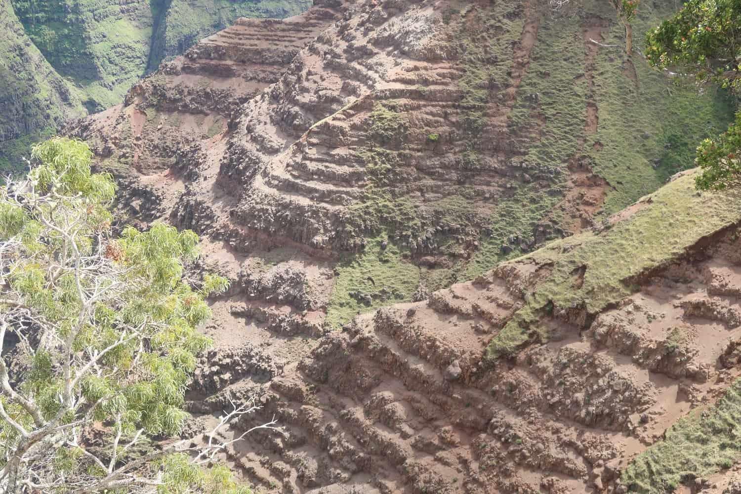 Poomau Canyon Ditch Trail