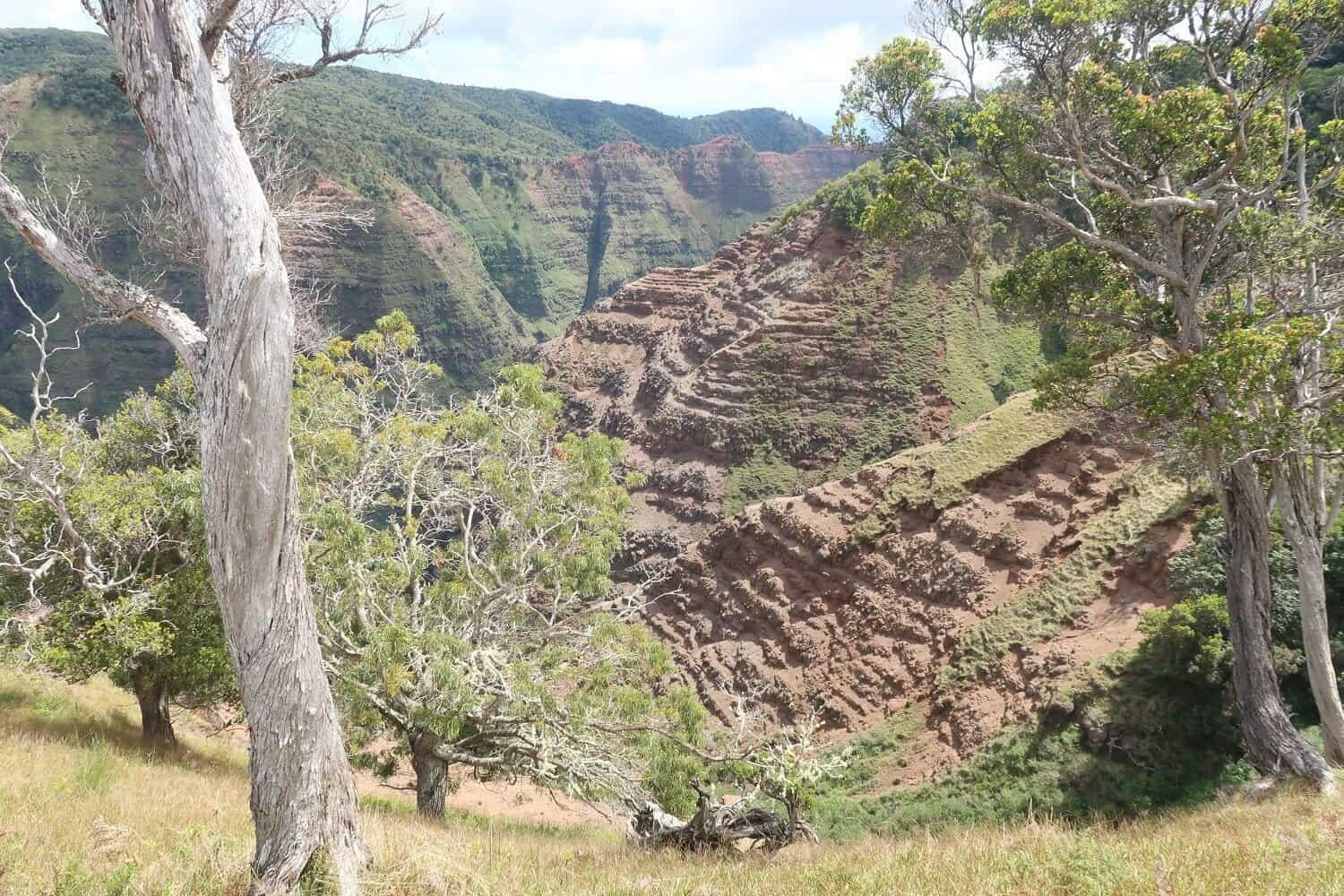 Poomau Canyon Ditch Trail