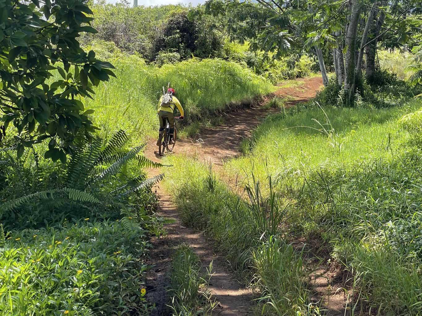 Powerline Trail