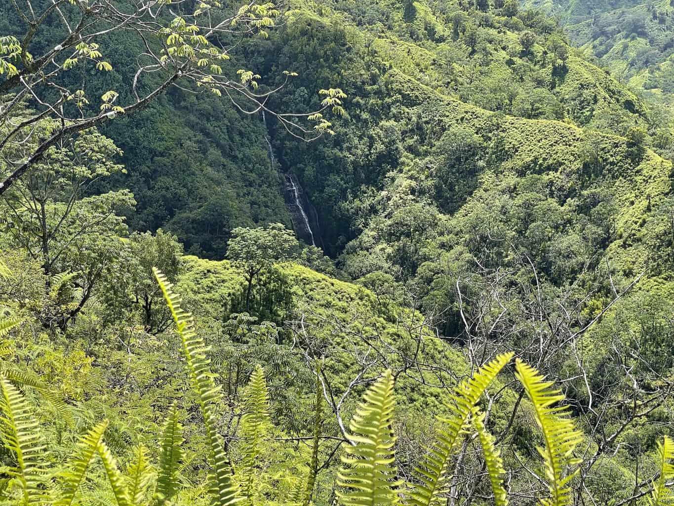 Powerline Trail