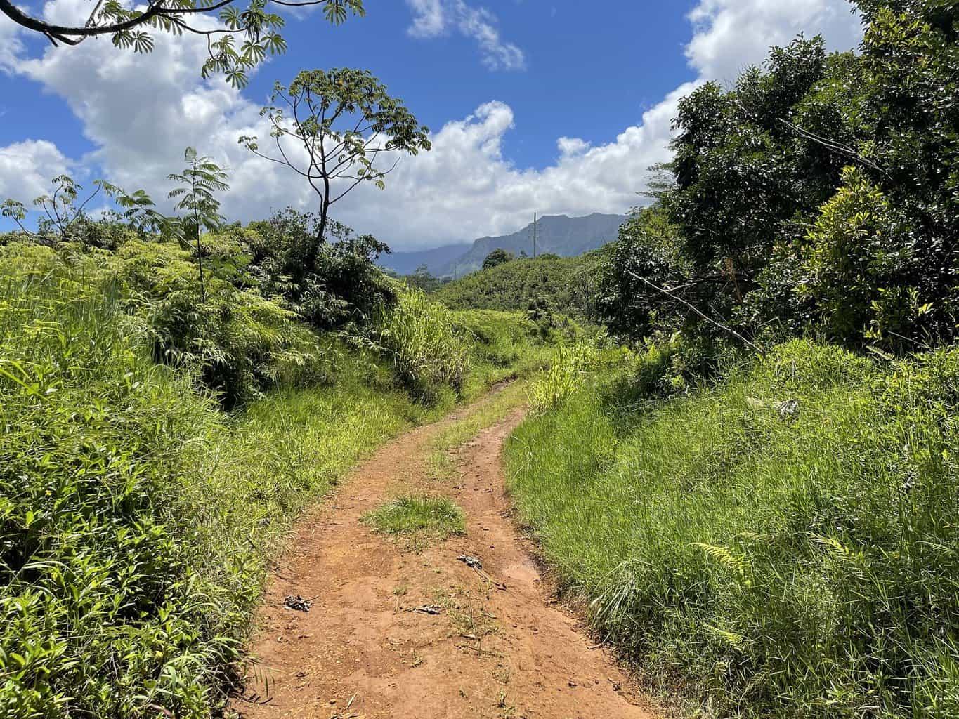 Powerline Trail