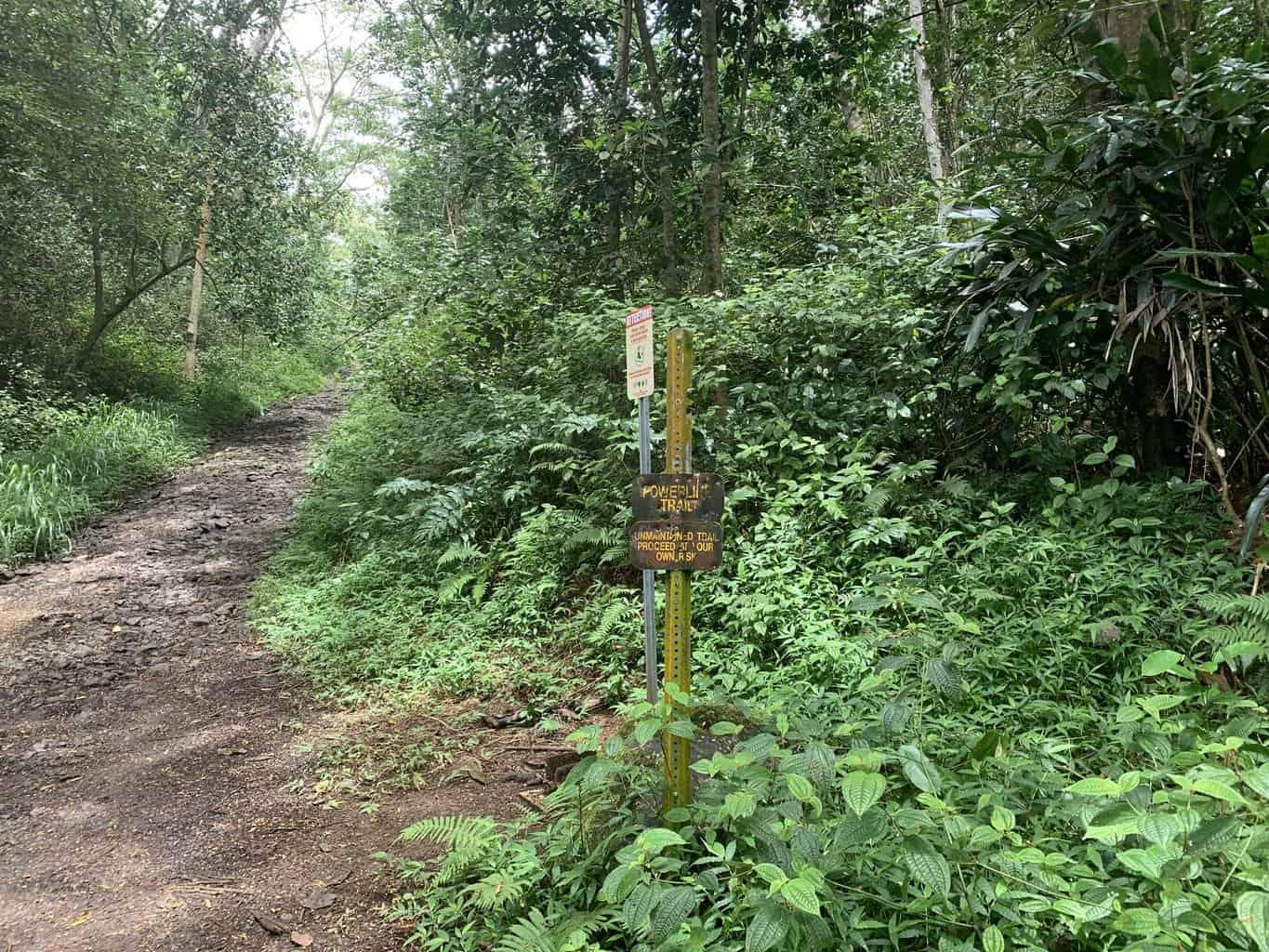 Powerline Trail