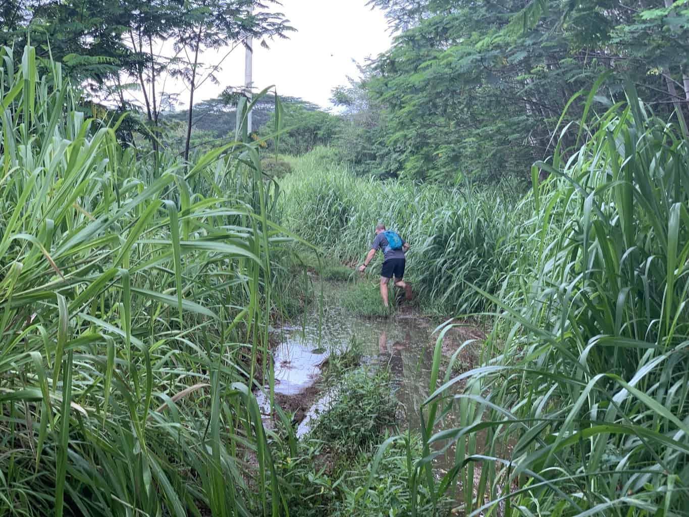 Powerline Trail