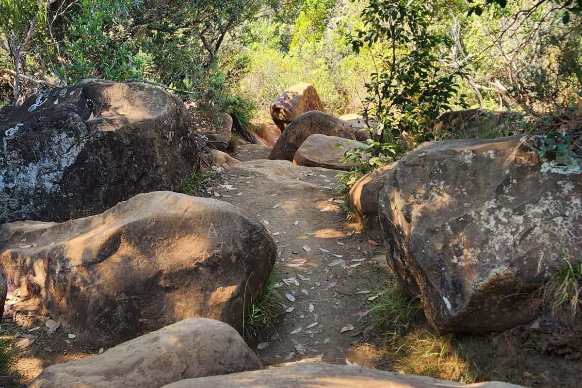 Rocks on trail