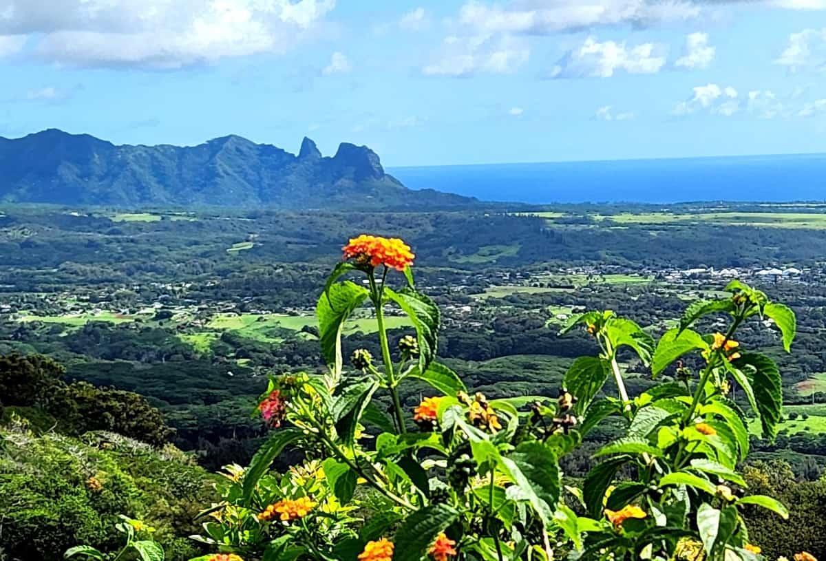 Sleeping Giant views