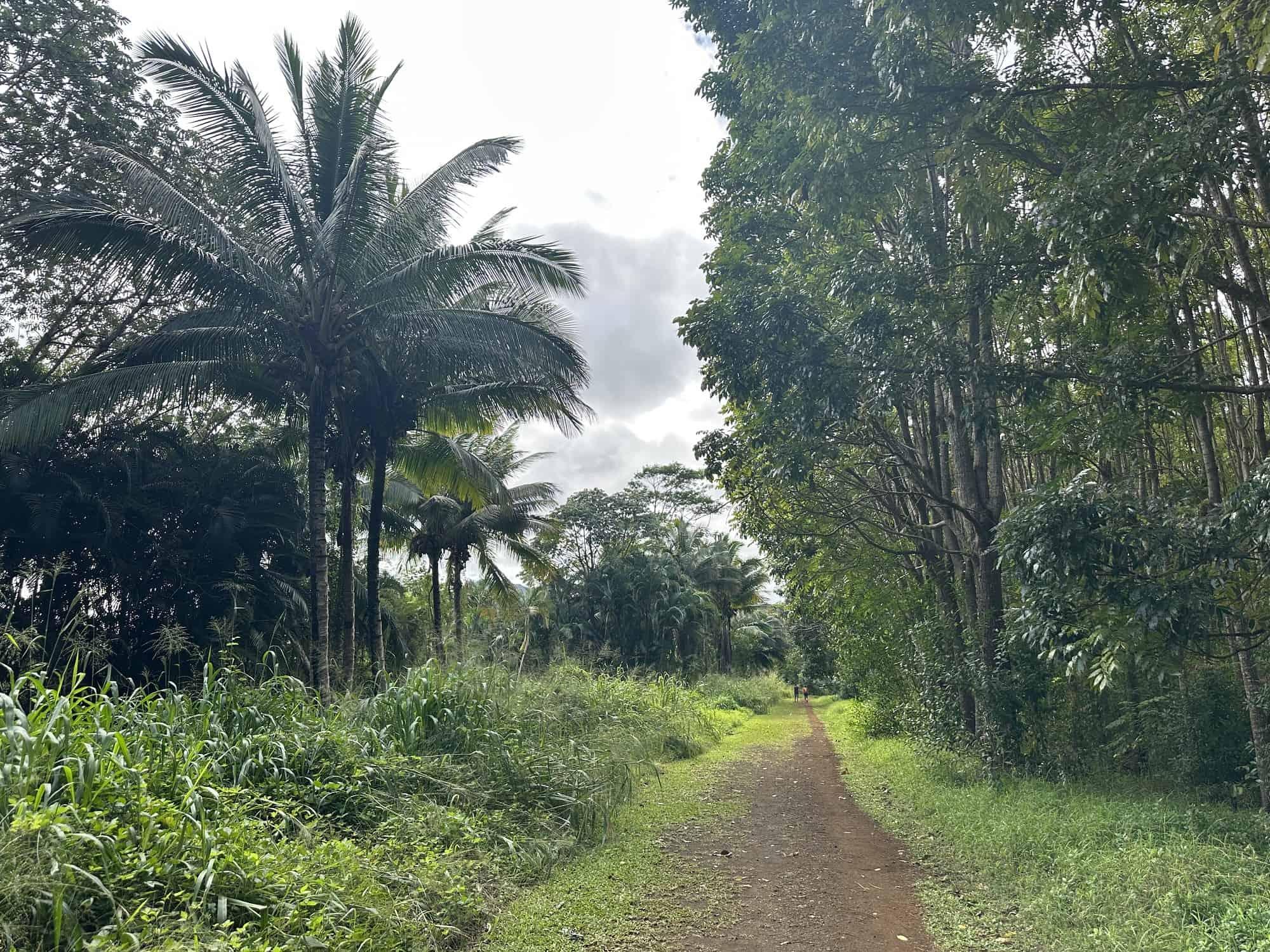 Wai Koa Loop Trail