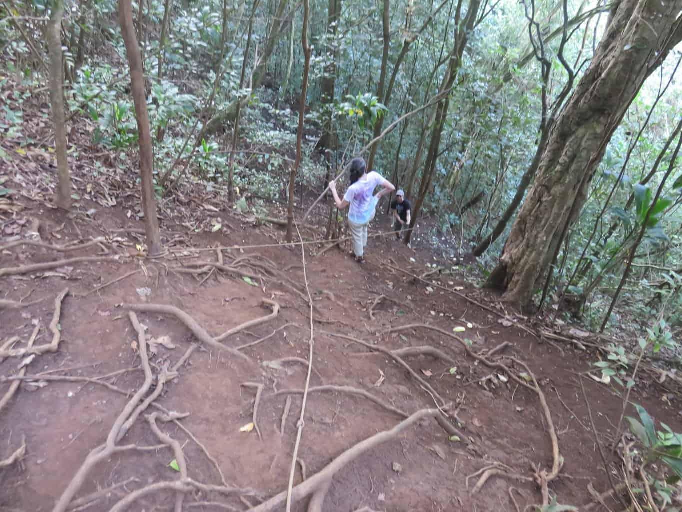 Wailua Falls Hike