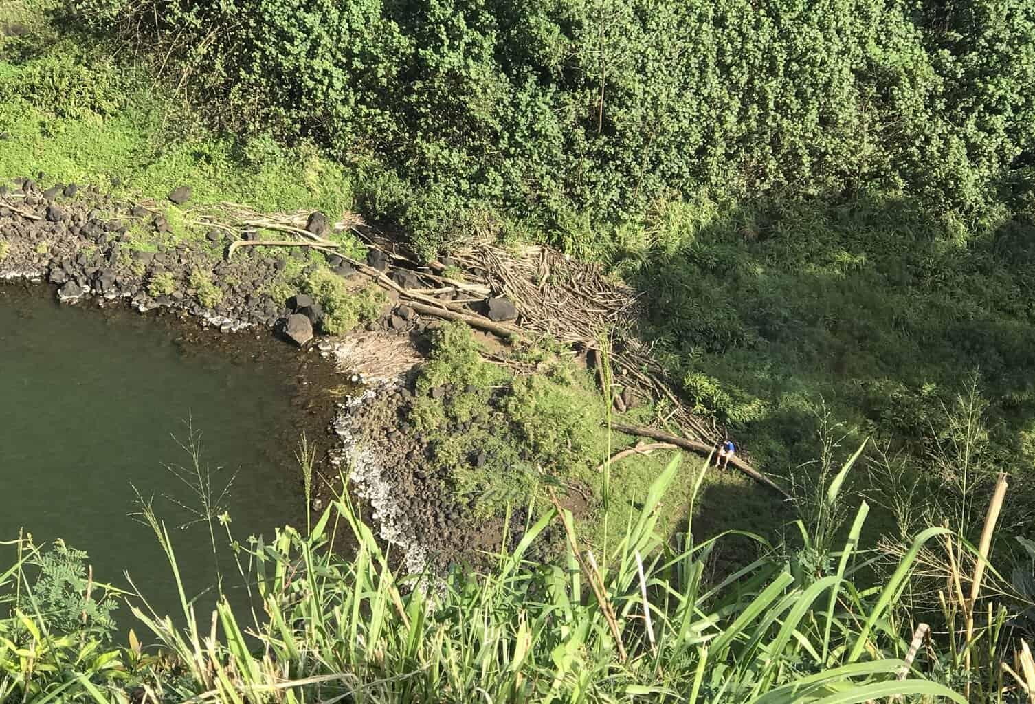 Wailua Falls Hike