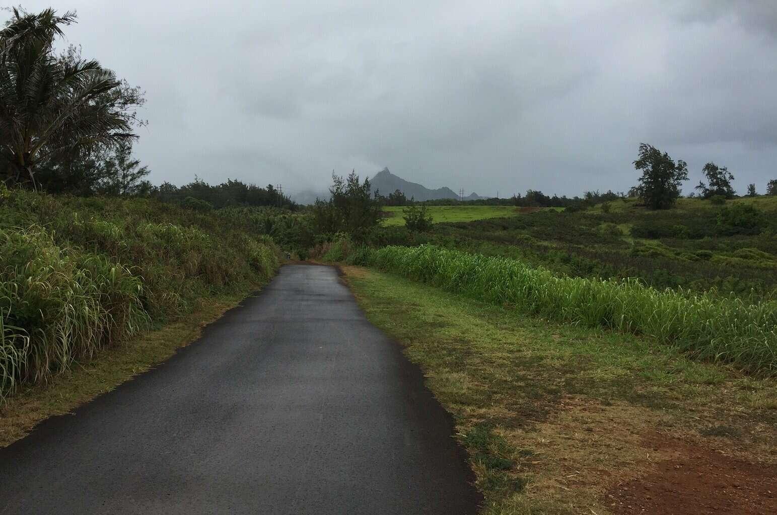 Kapaa Bike Path