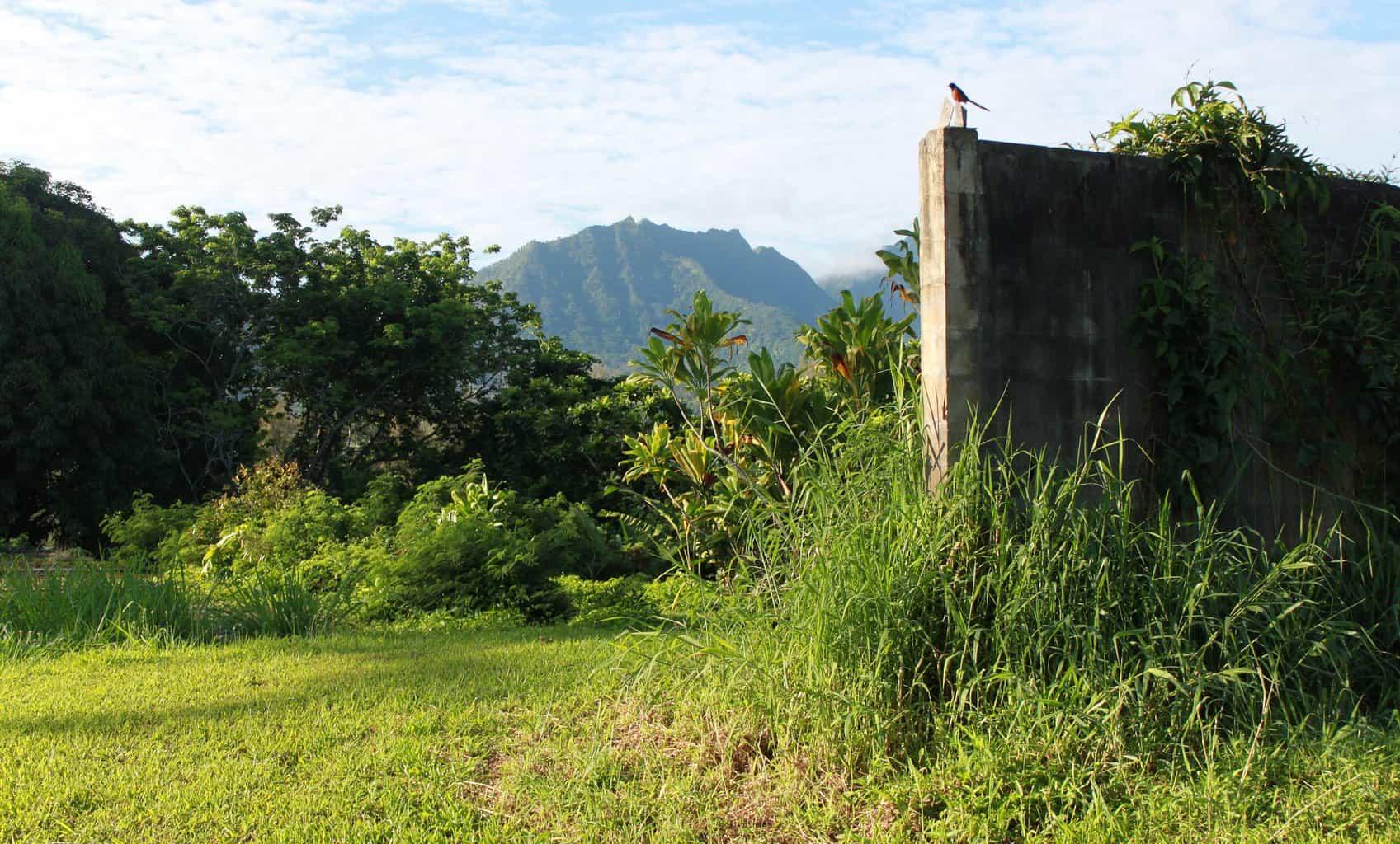 Club Med Ruins Kauai