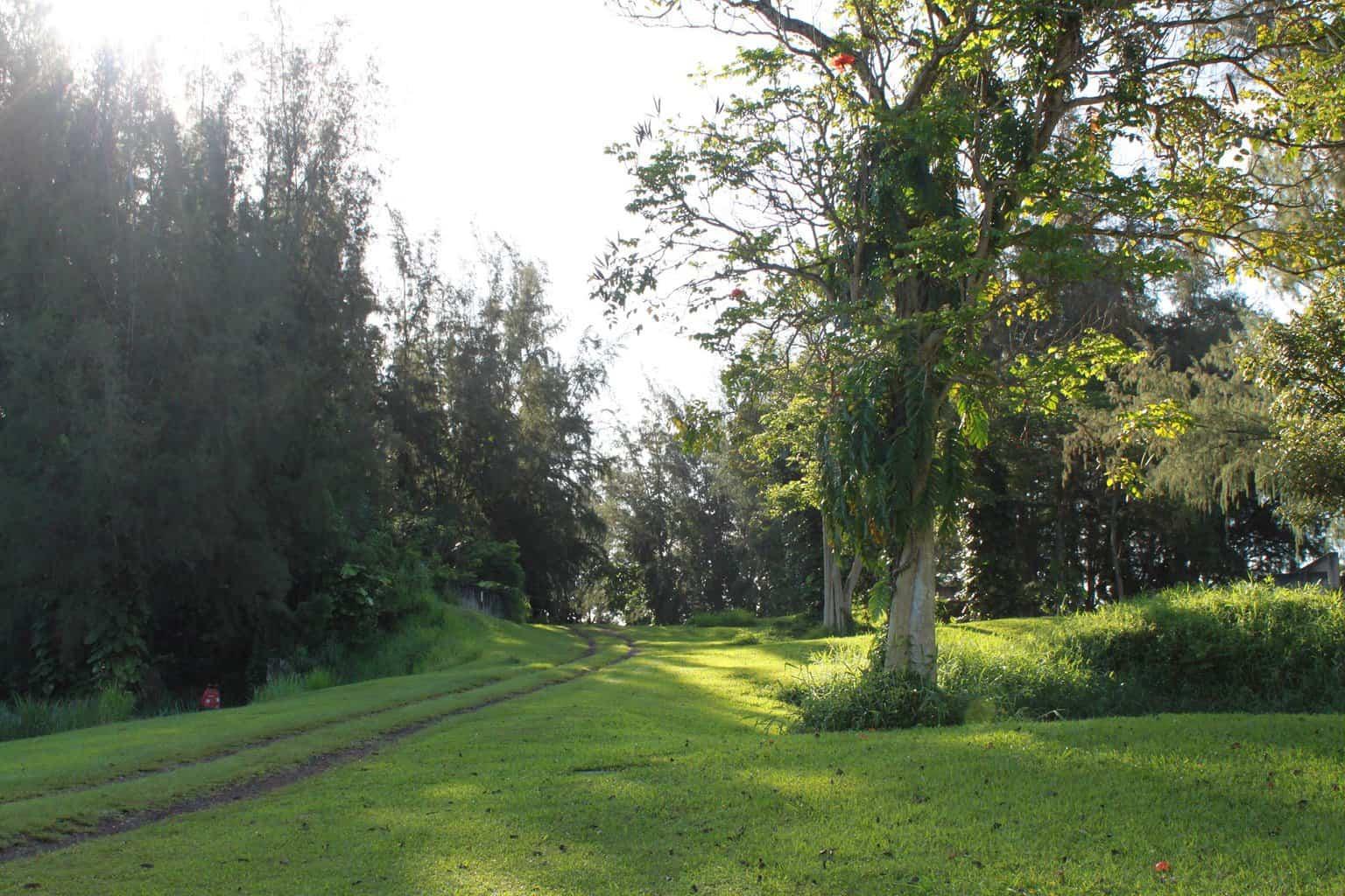 Club Med Ruins Kauai