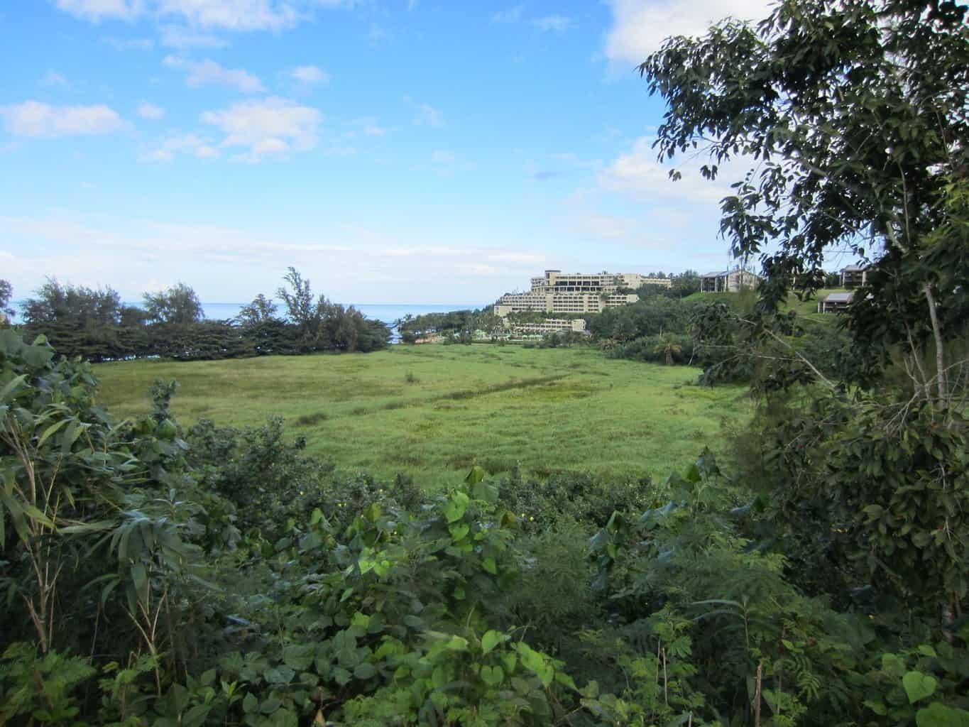 Club Med Ruins Kauai