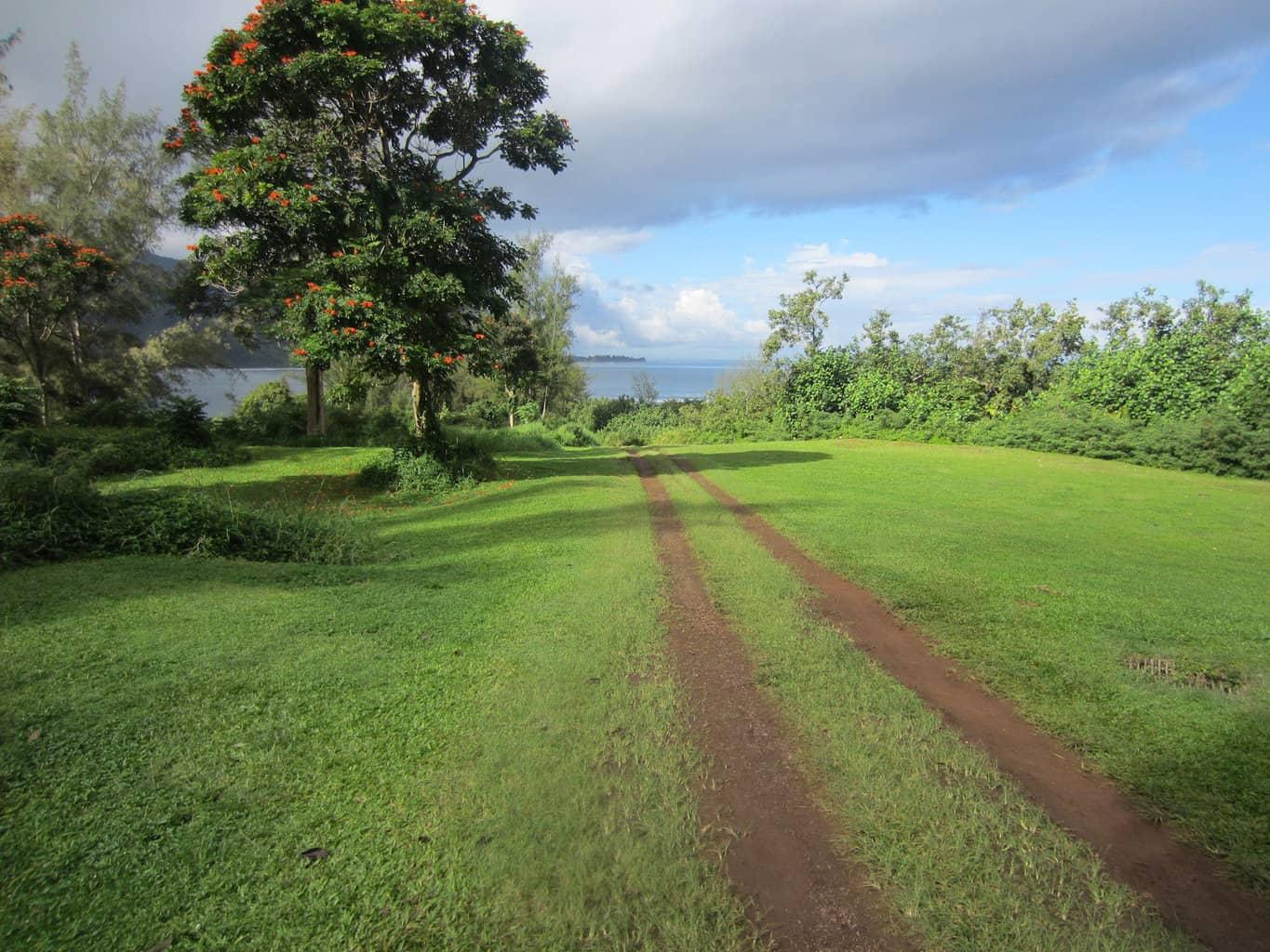 Club Med Ruins Kauai